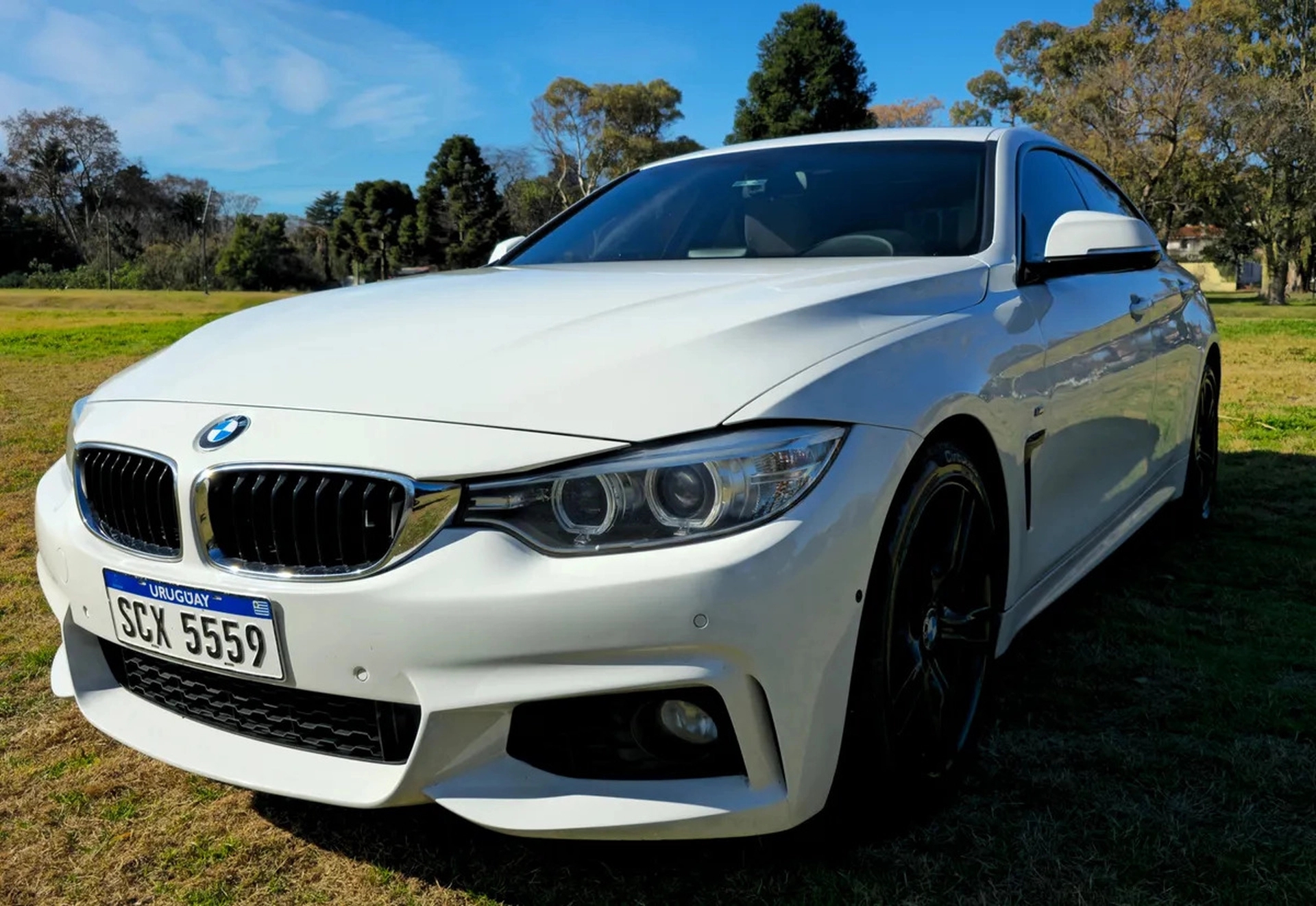 BMW Serie 4 Coupé 428i