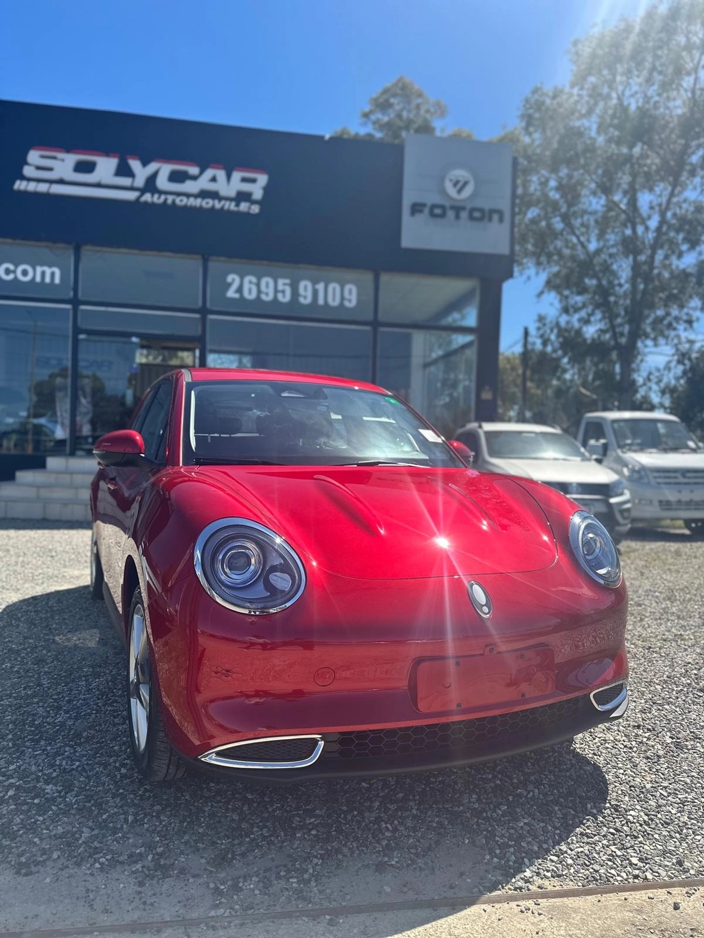 Great Wall ORA 03 - SKIN - ENTREGA INMEDIATA !!