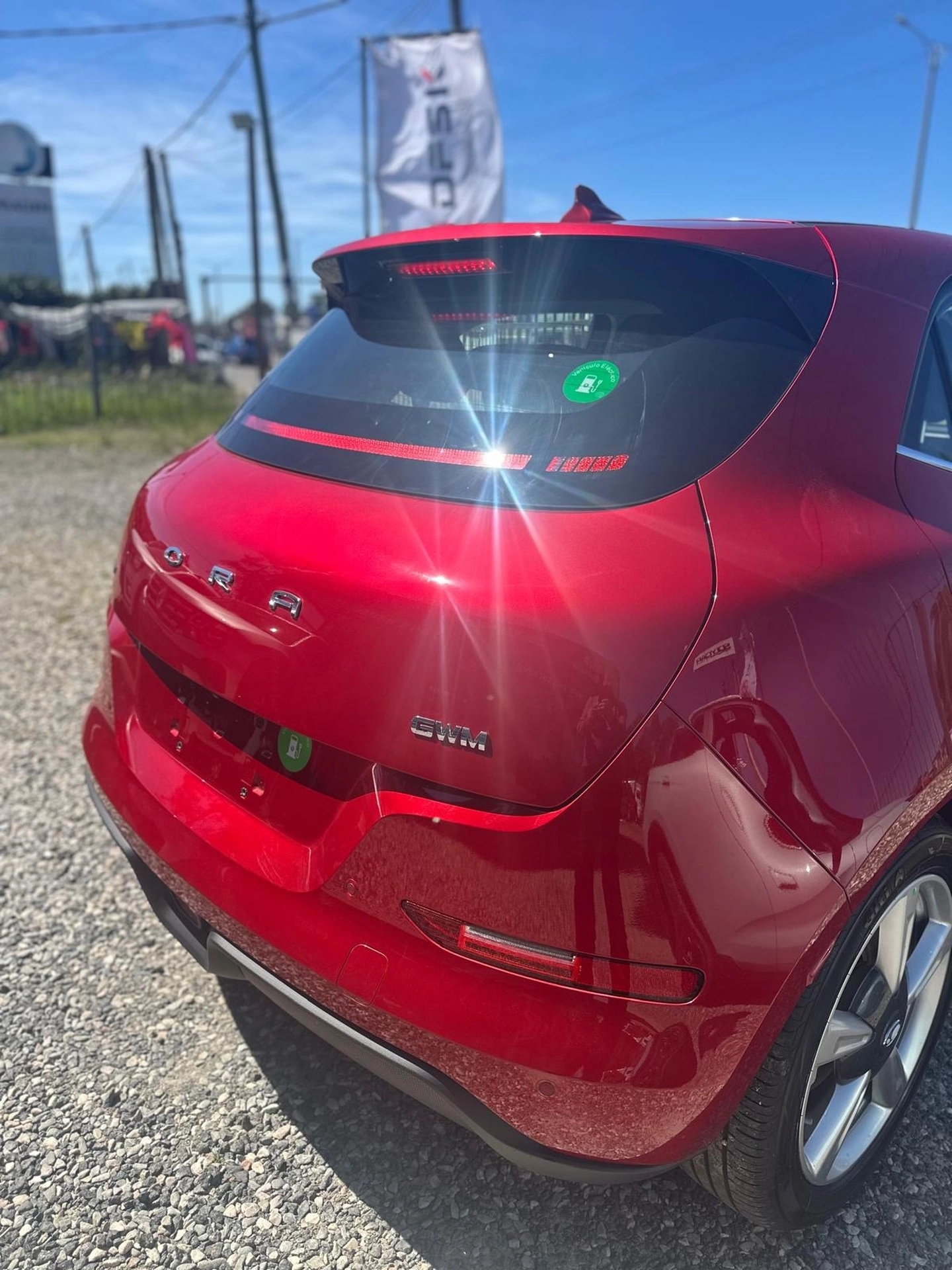 Great Wall ORA 03 - SKIN - ENTREGA INMEDIATA !!