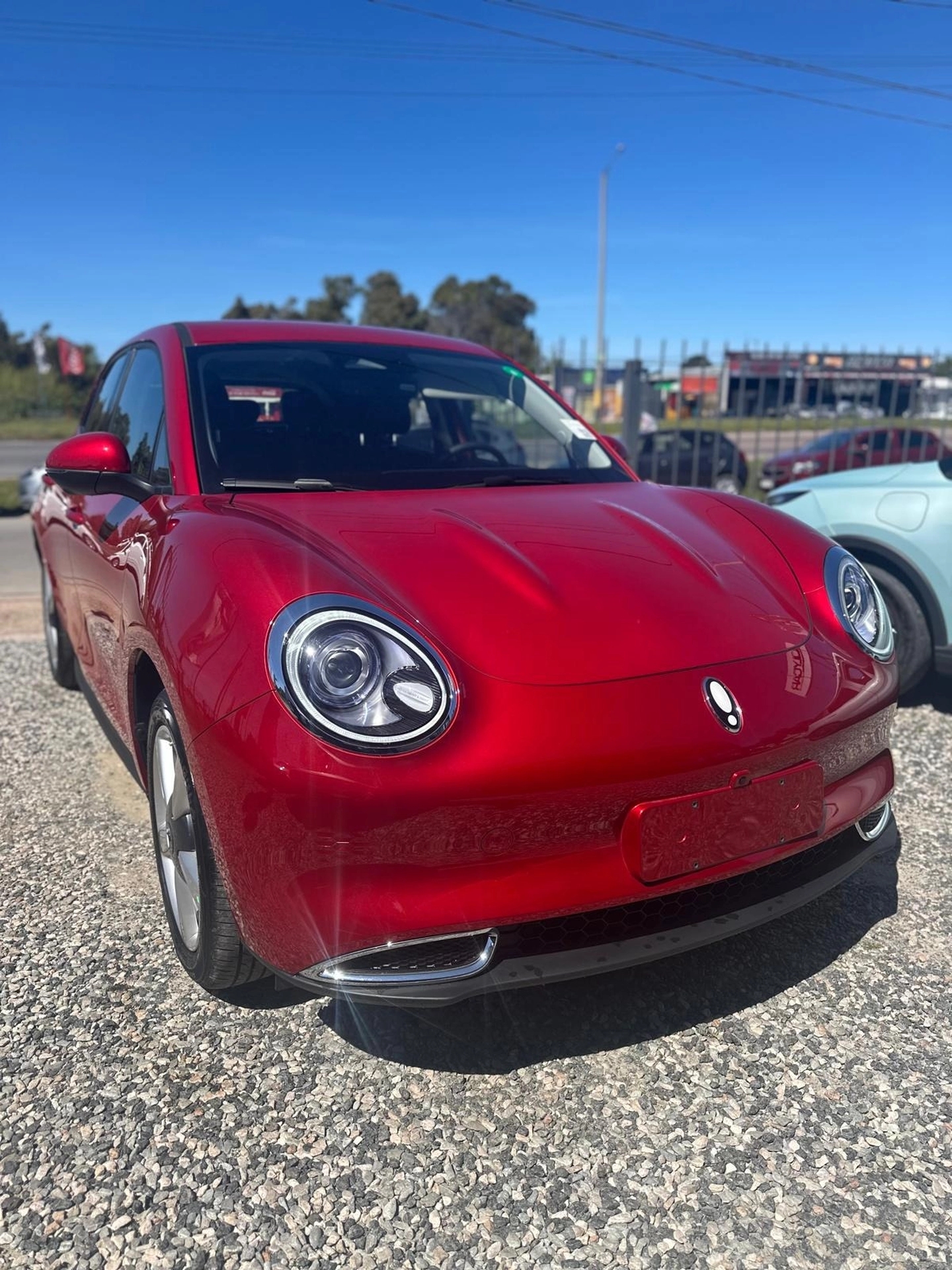 Great Wall ORA 03 - SKIN - ENTREGA INMEDIATA !!