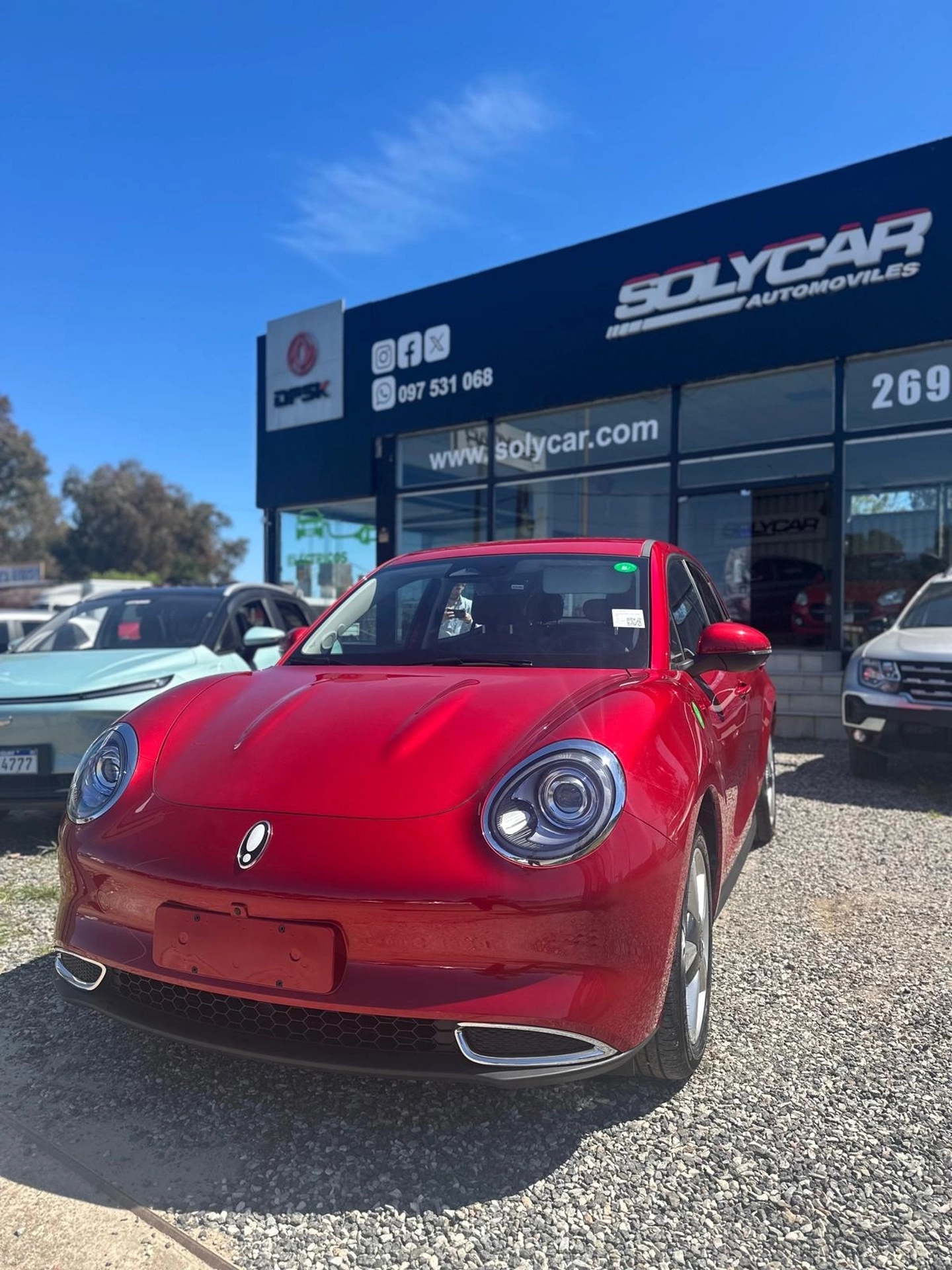 Great Wall ORA 03 - SKIN - ENTREGA INMEDIATA !!