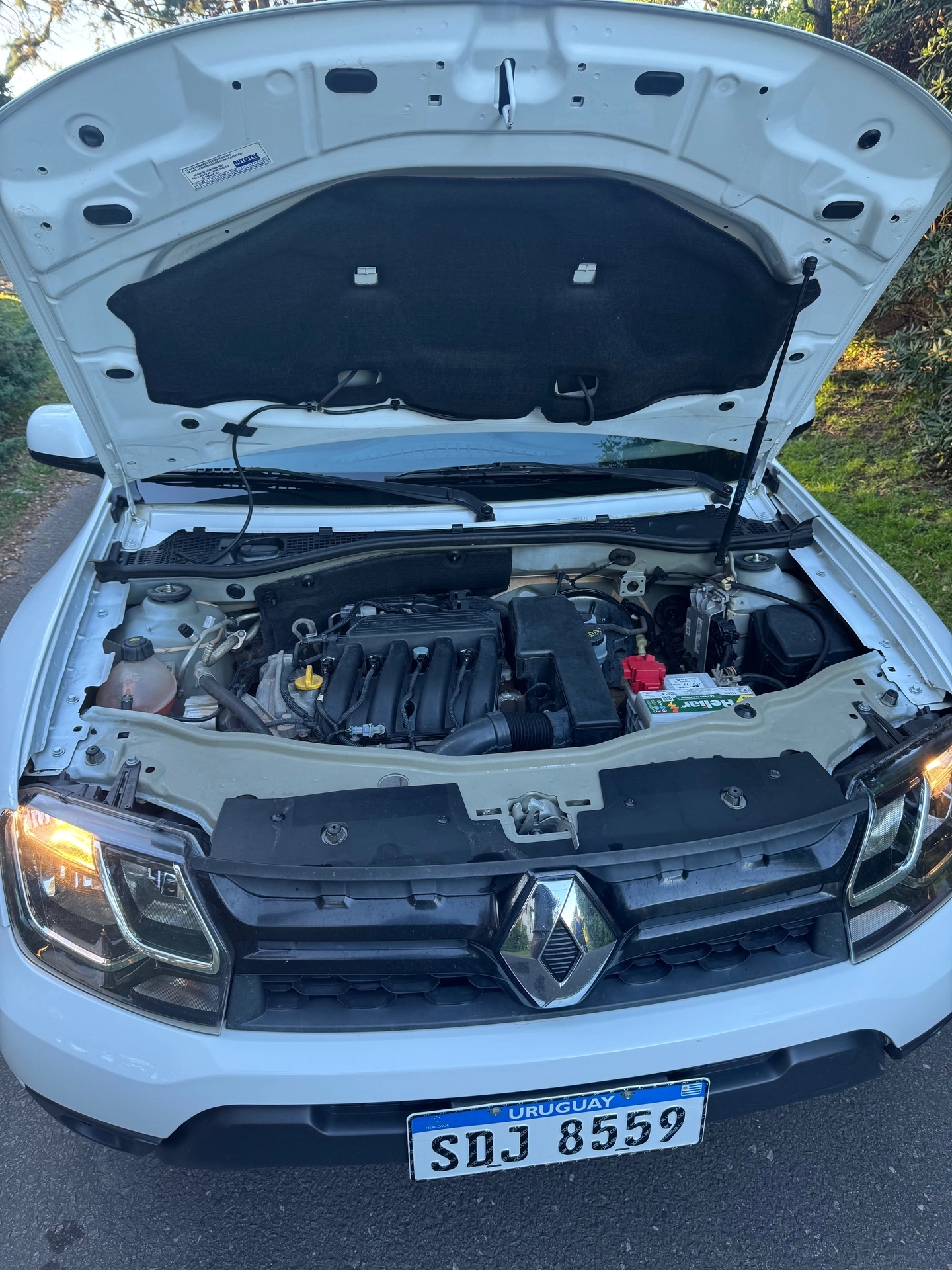 Renault Oroch expression