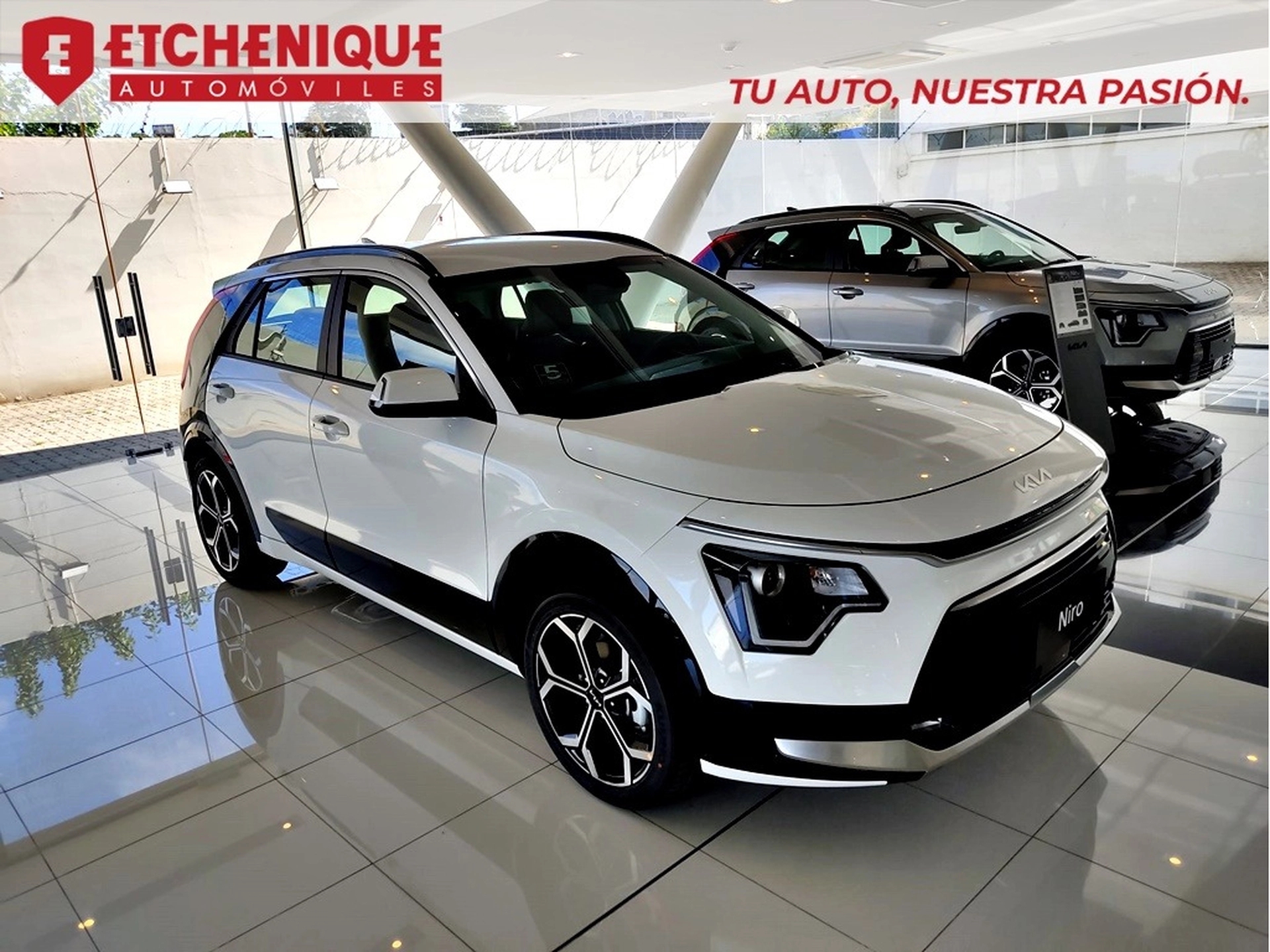 Kia Niro Ex Plus 1.6 At Hibrido Año 2025
