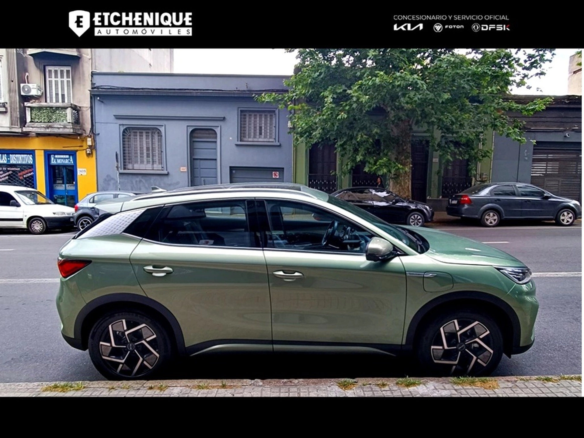 BYD Yuan Plus EV EV480 GS