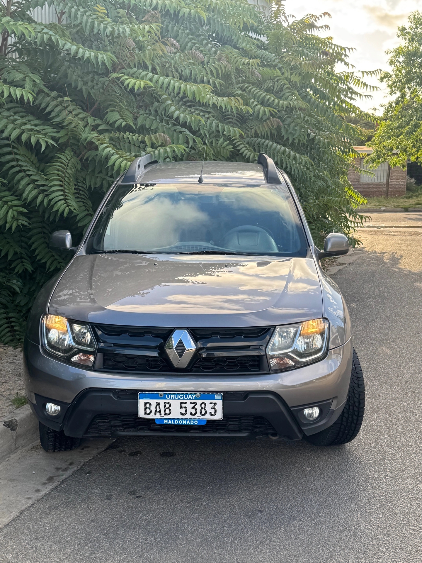 Renault Oroch Dynamique 1.6 SCe 2WD