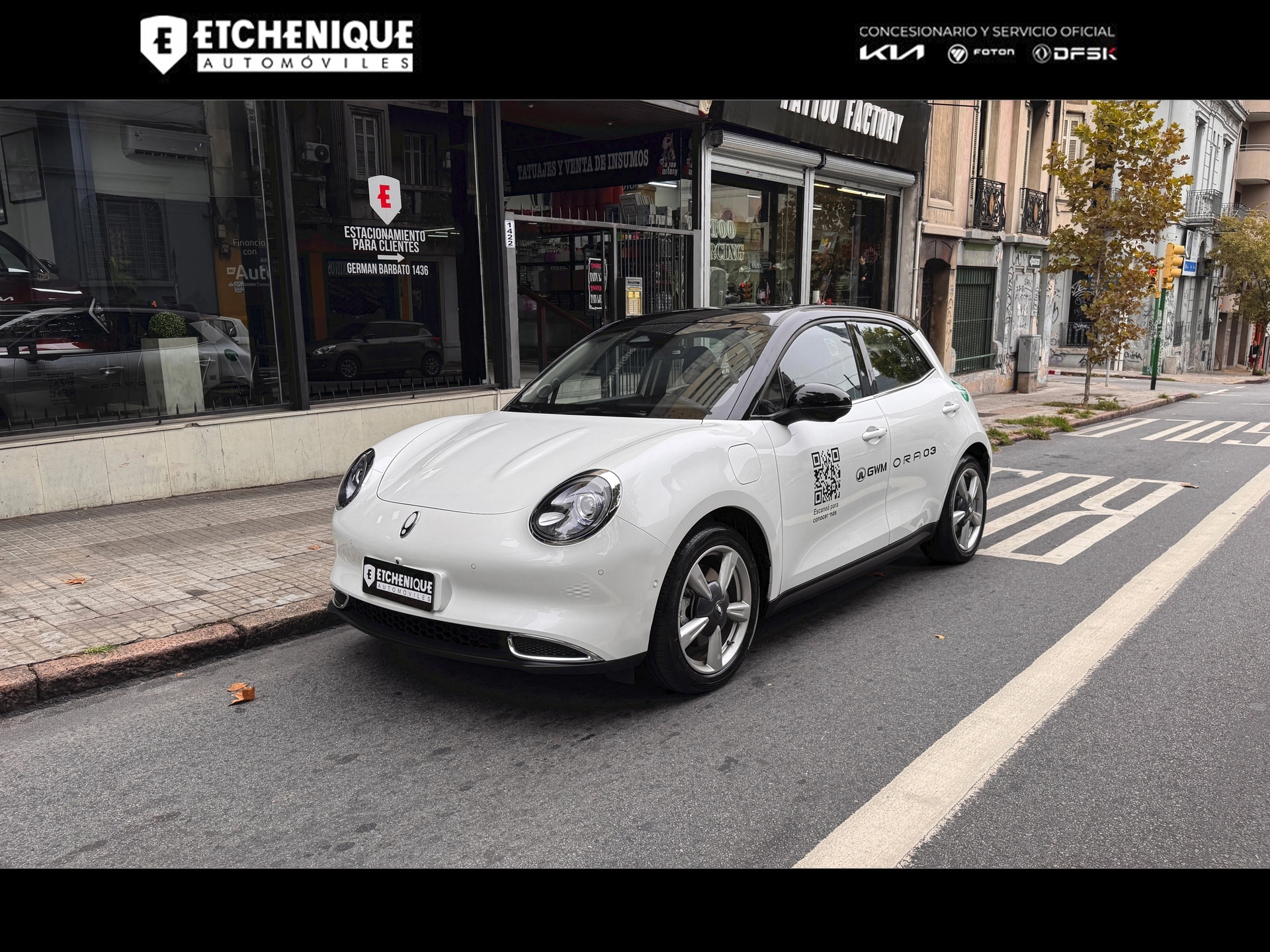 GWM ORA 03 Skin Bitono