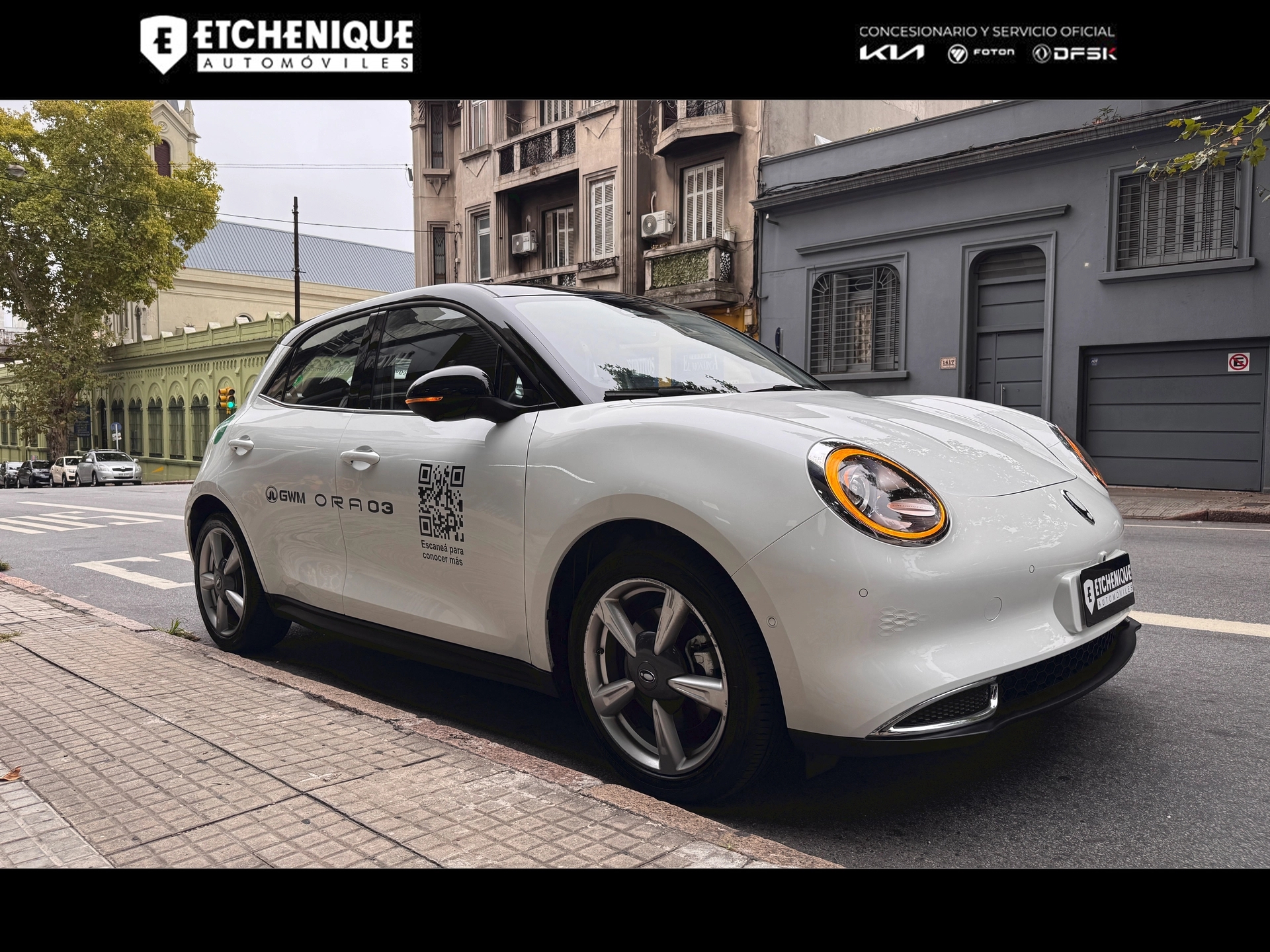 GWM ORA 03 Skin Bitono