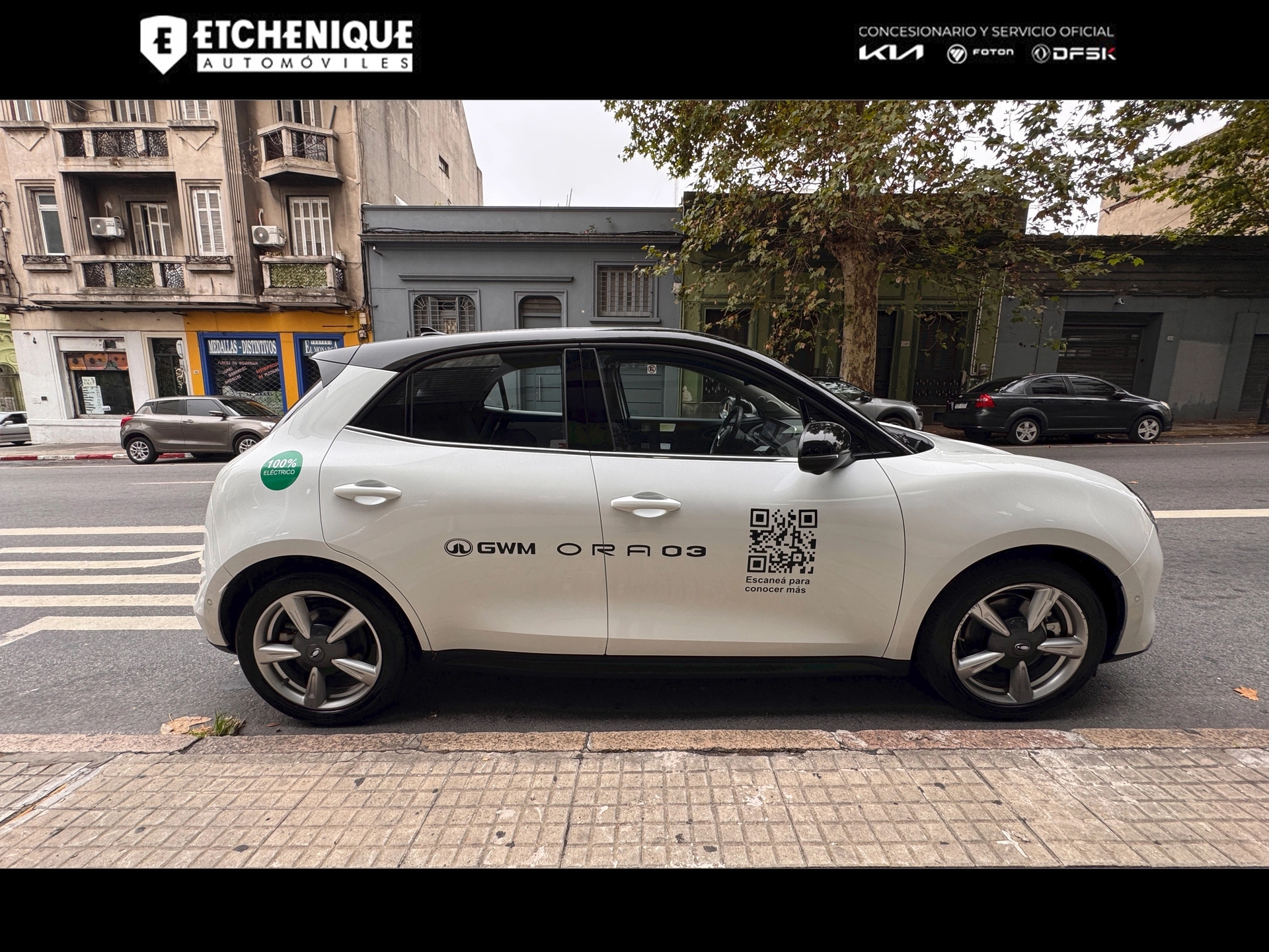 GWM ORA 03 Skin Bitono