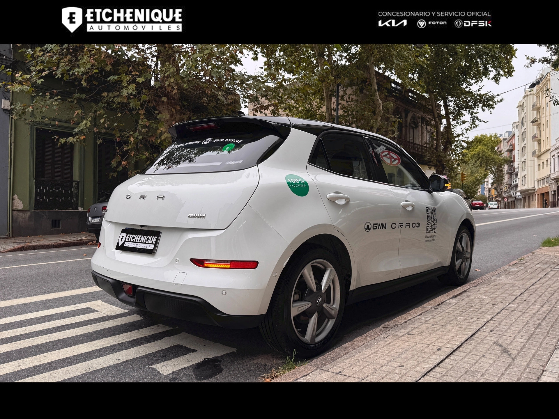 GWM ORA 03 Skin Bitono