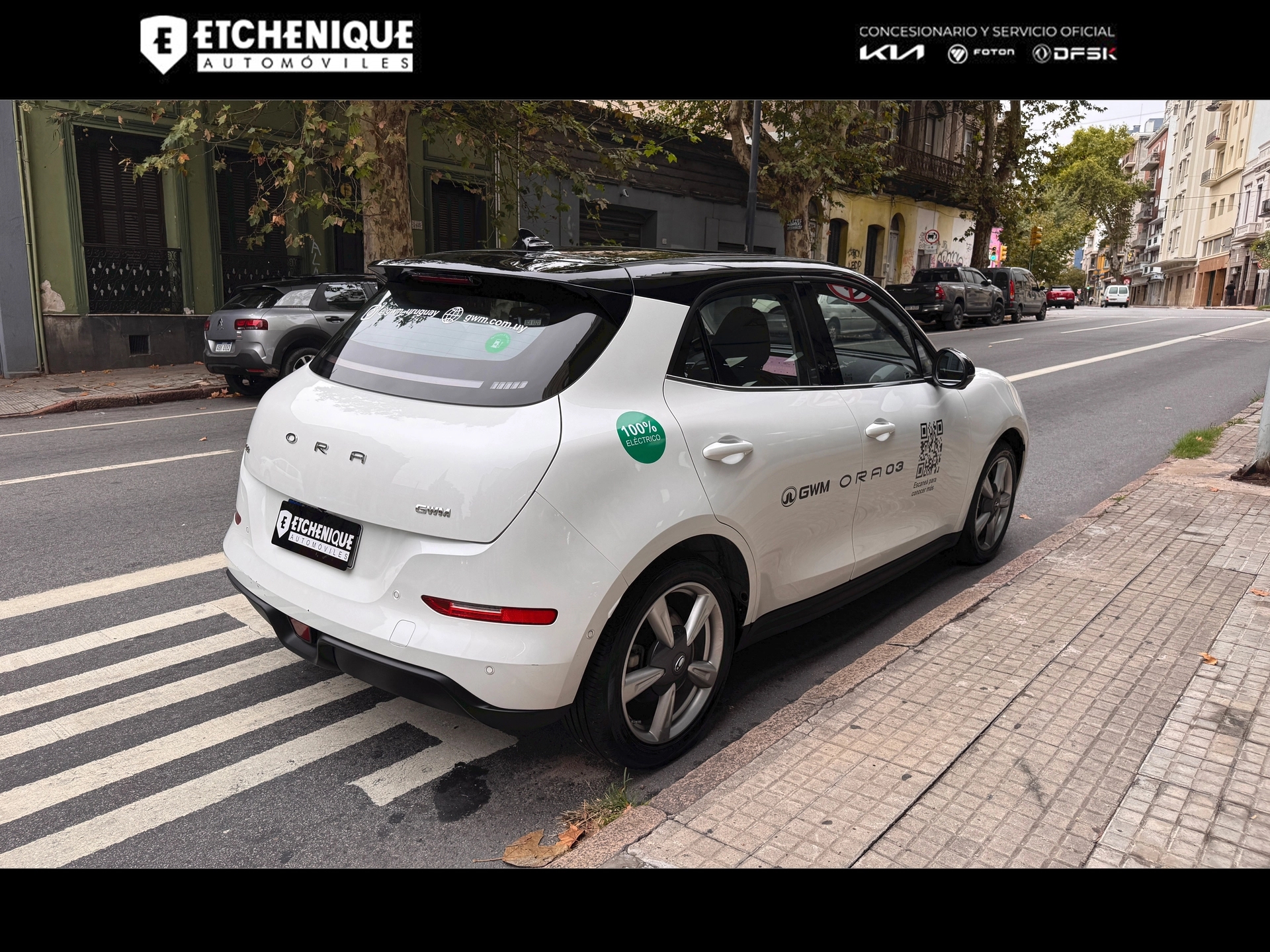 GWM ORA 03 Skin Bitono