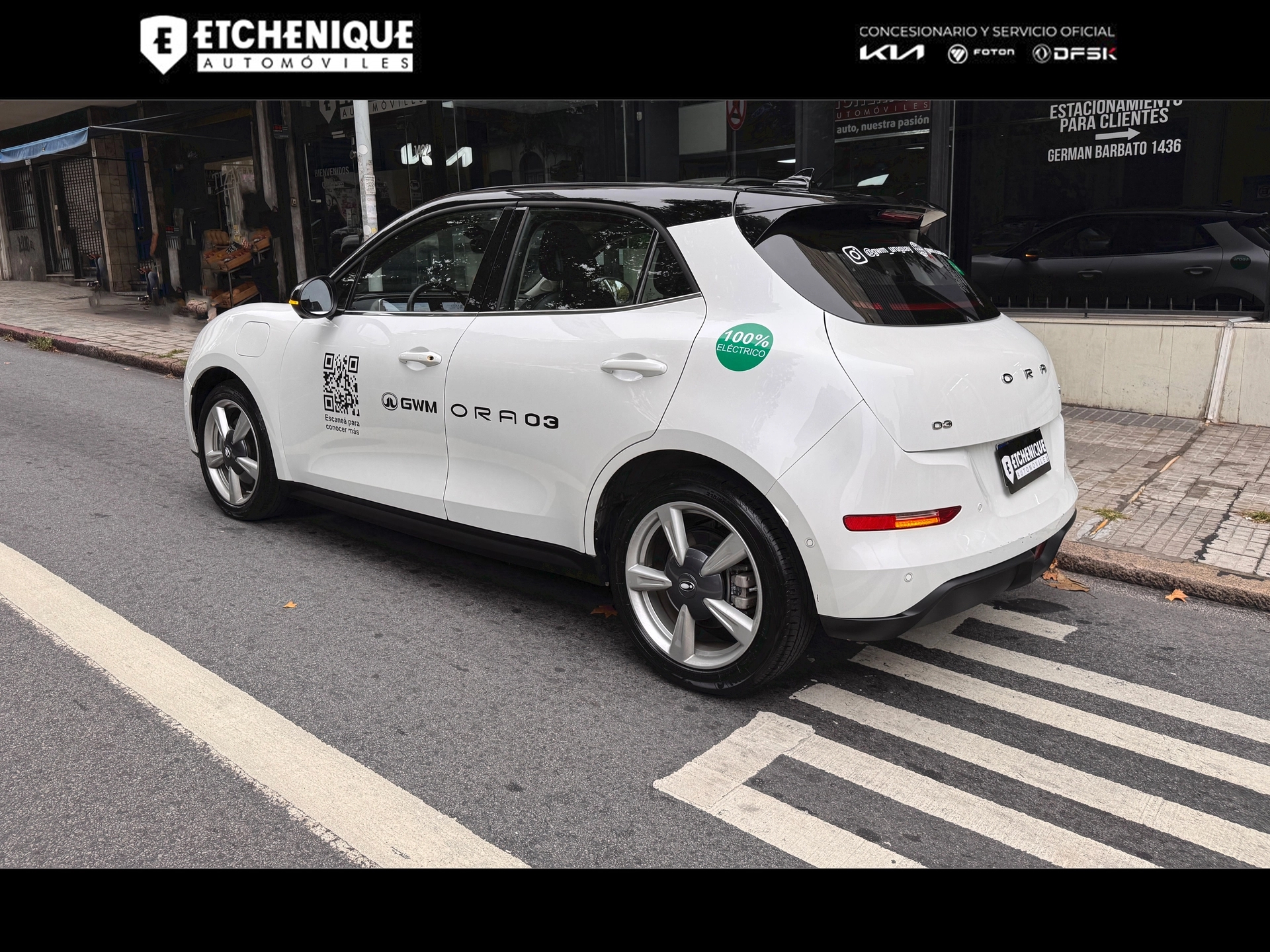 GWM ORA 03 Skin Bitono