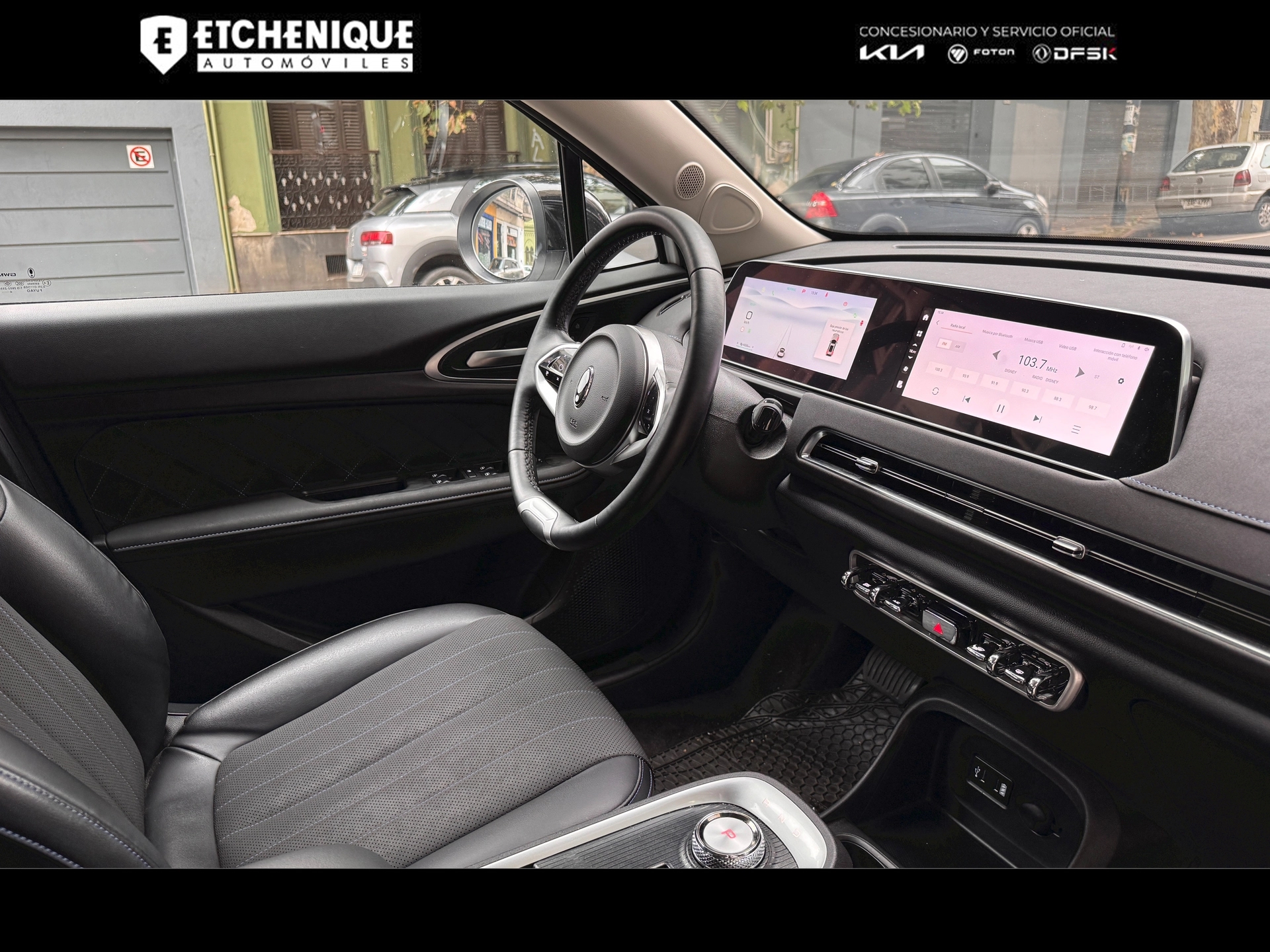 GWM ORA 03 Skin Bitono