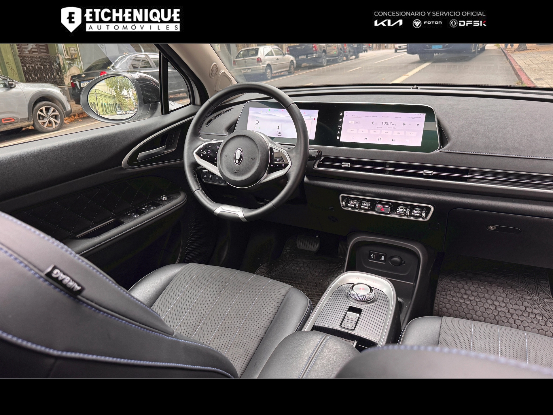 GWM ORA 03 Skin Bitono