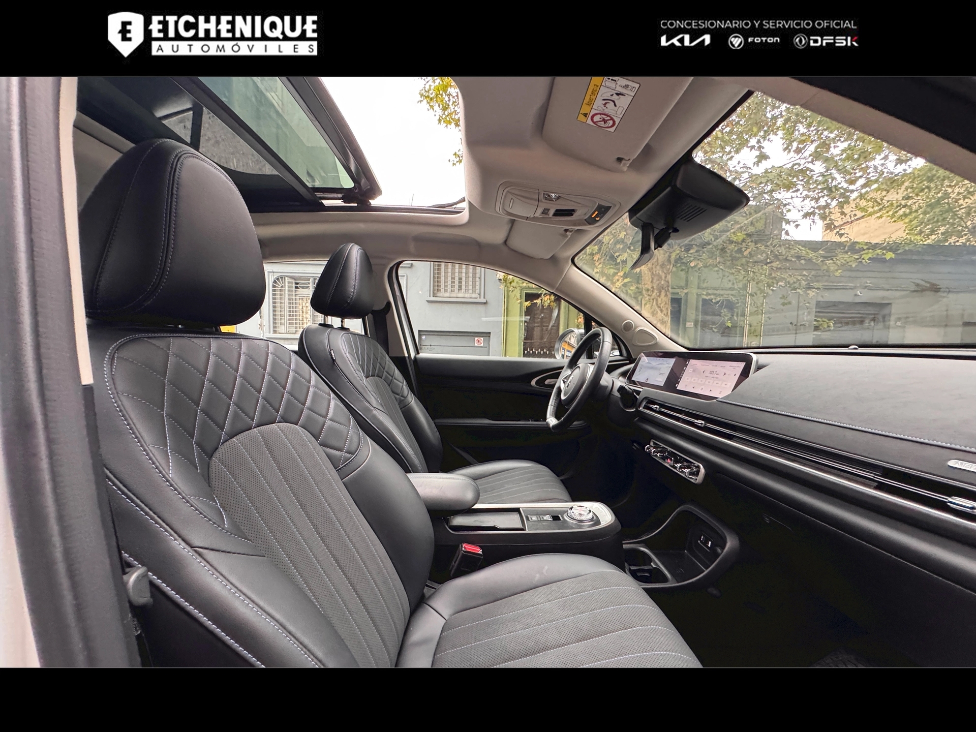 GWM ORA 03 Skin Bitono