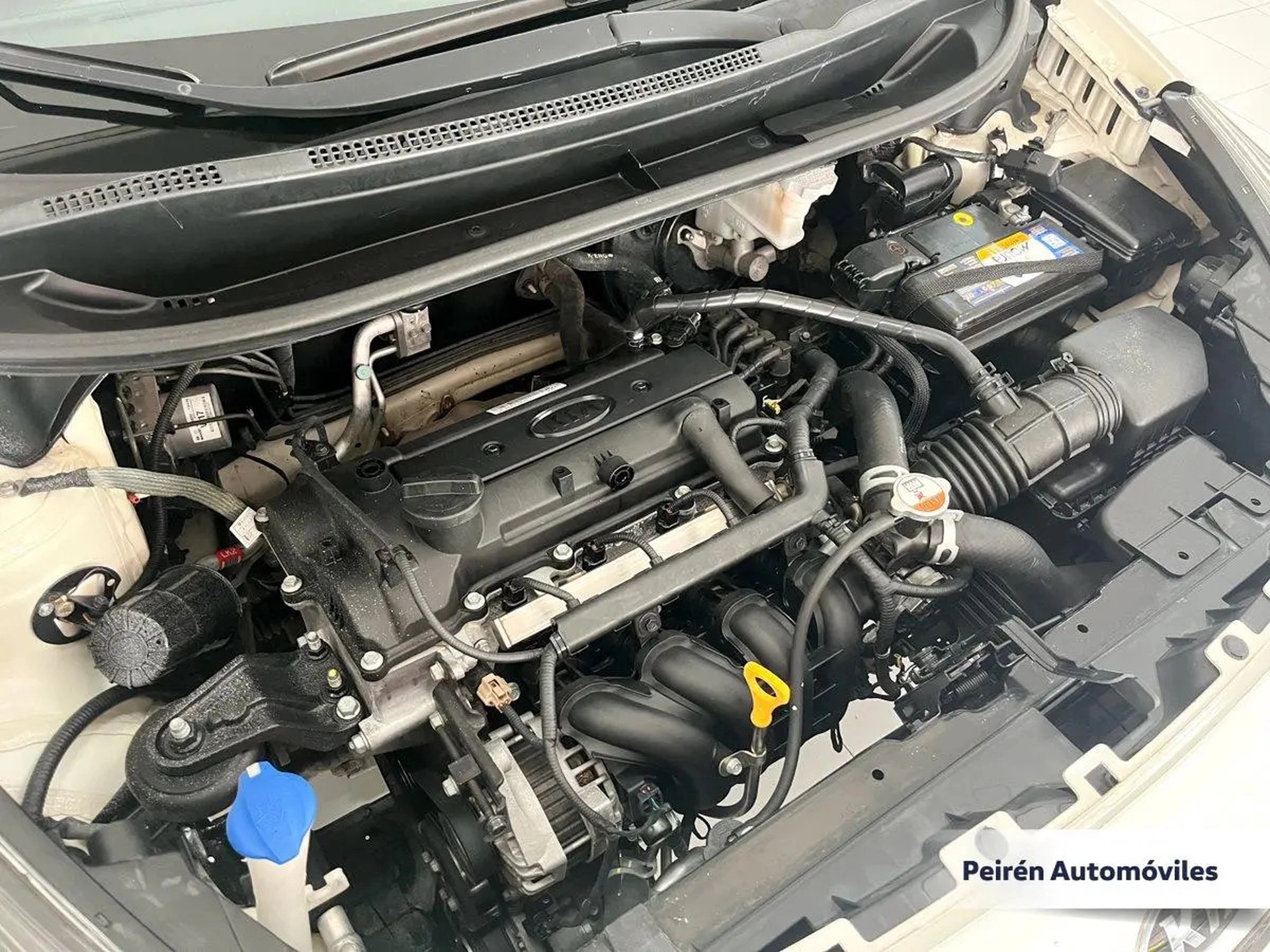 Kia Rio Sedán Ex 1.2 2017