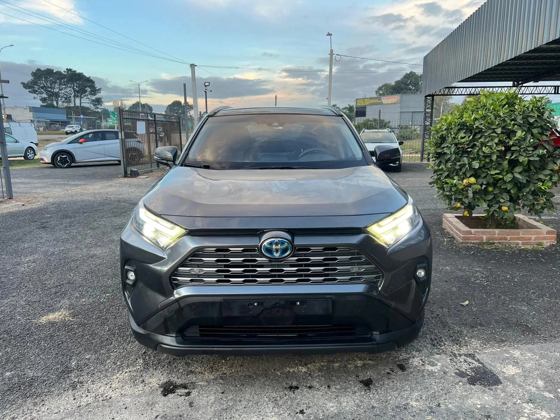Toyota Rav4 Hybrid Limited Plus 2wd