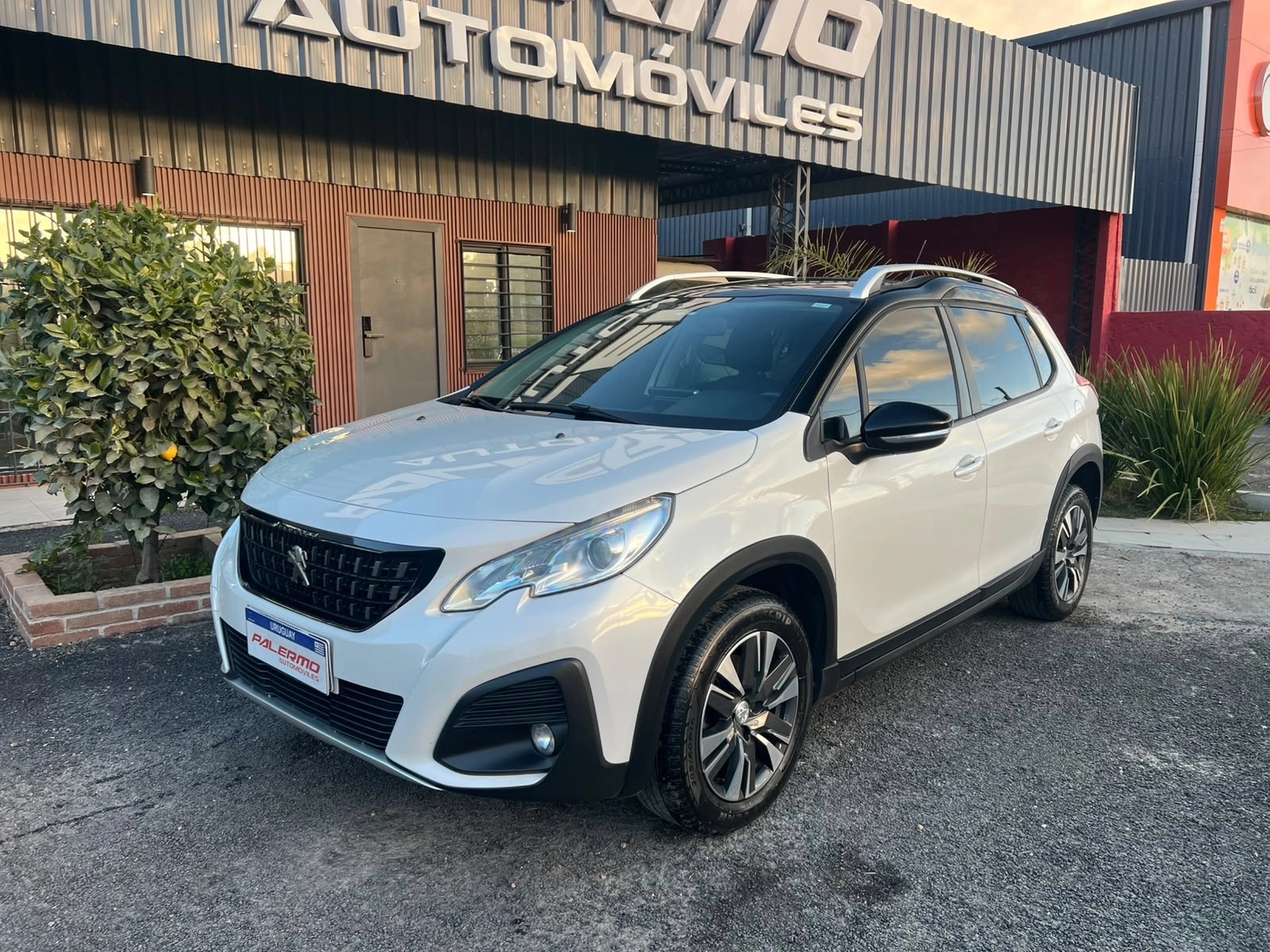 Peugeot 2008 Feline