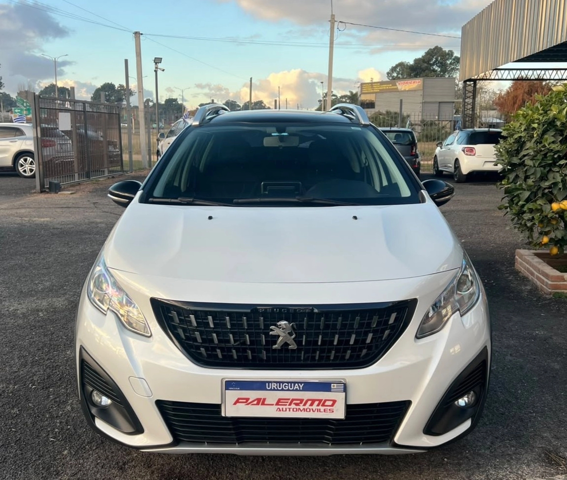 Peugeot 2008 Feline