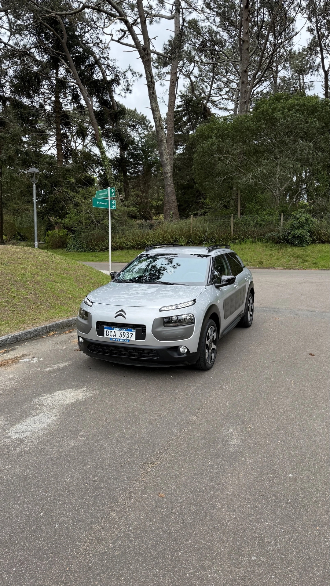 Citroën C4 Cactus Shine EAT6