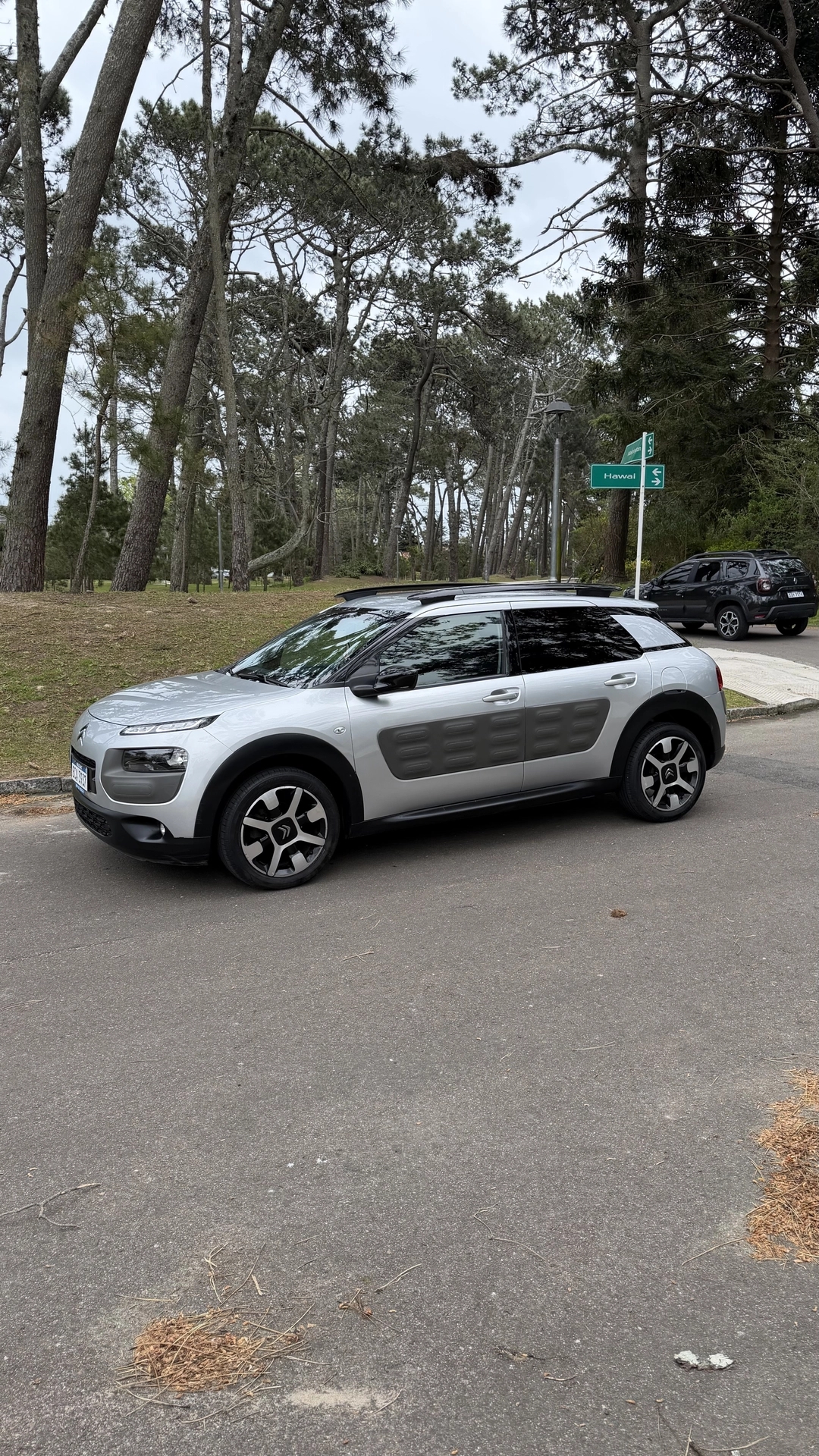 Citroën C4 Cactus Shine EAT6